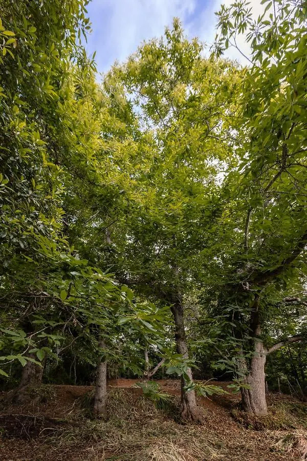 Διαμέρισμα Mialon Rural Apartment: Haven Of Calm In Nature La Esperanza